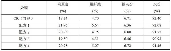 A kind of Pleurotus eryngii cultivation substrate and its cultivation method using pennisetum fresh grass as raw material