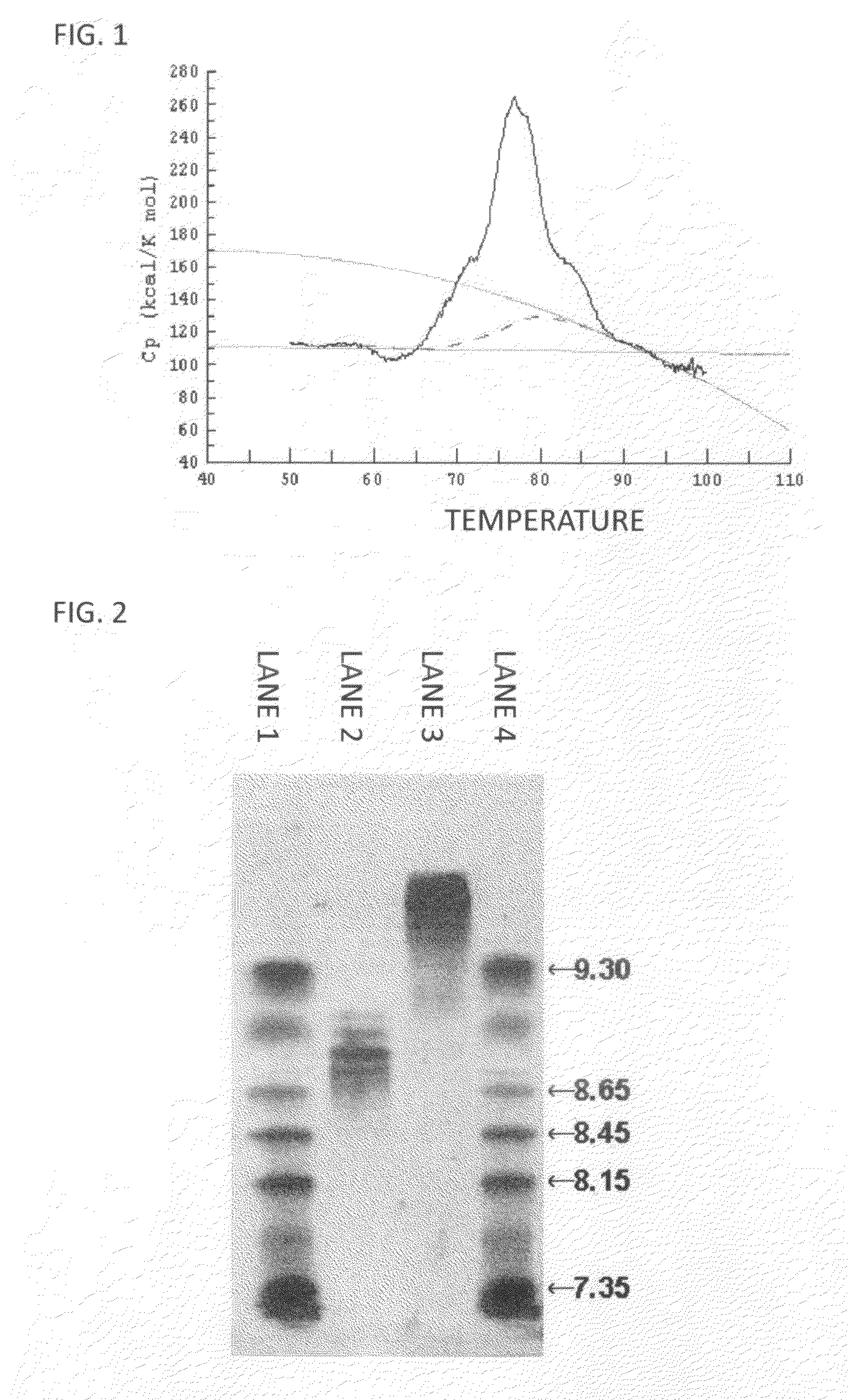 Anti-glypican-3 antibody having improved kinetics in plasma