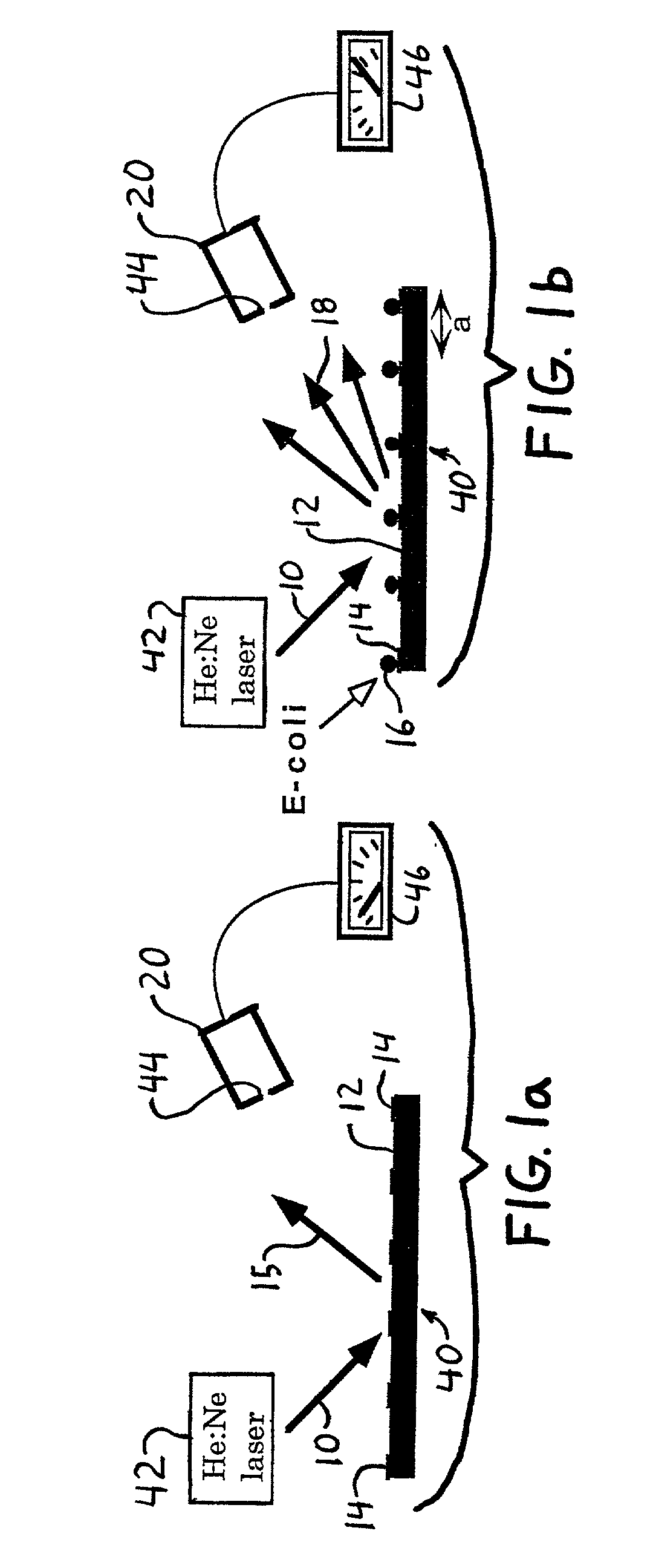 Diffraction-based cell detection using a micro-contact-printed antibody grating