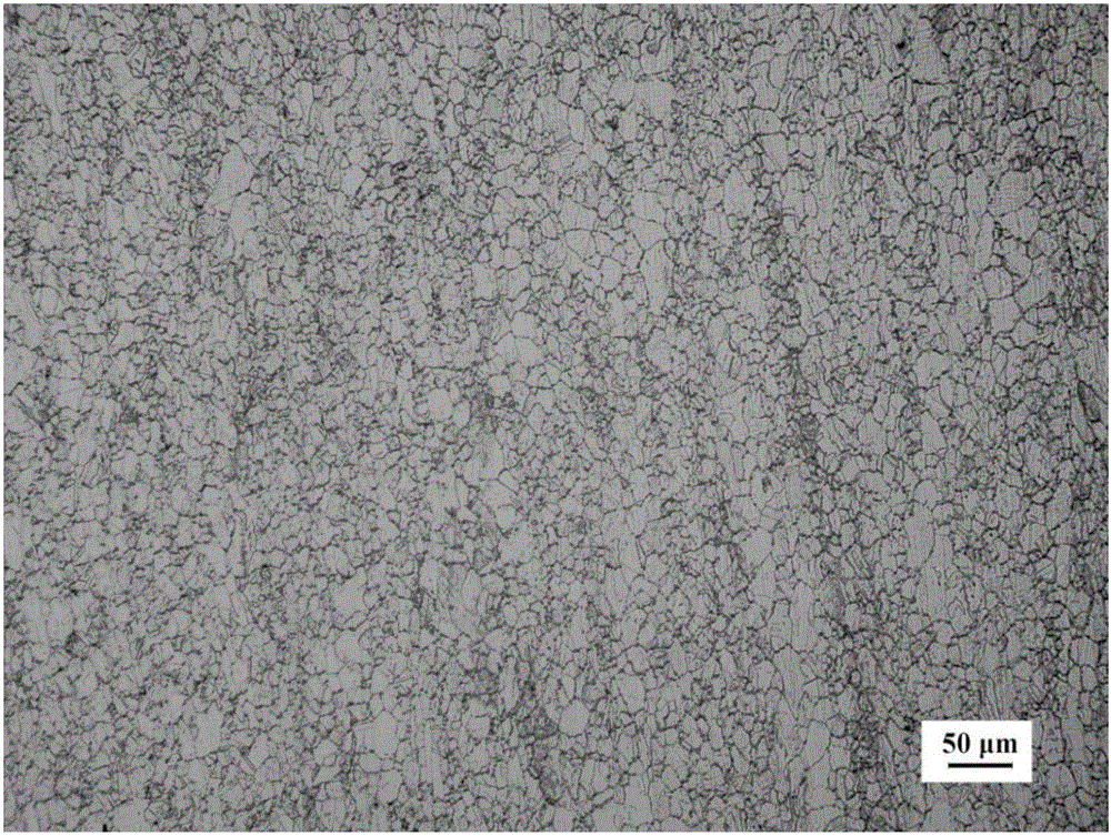 Erosion agent for Super304H austenitic stainless steel durable specimen tissue display, preparation method and application method