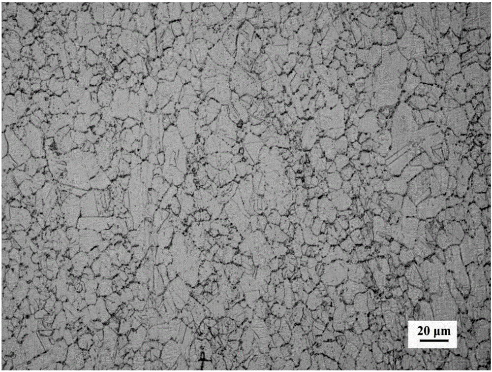 Erosion agent for Super304H austenitic stainless steel durable specimen tissue display, preparation method and application method