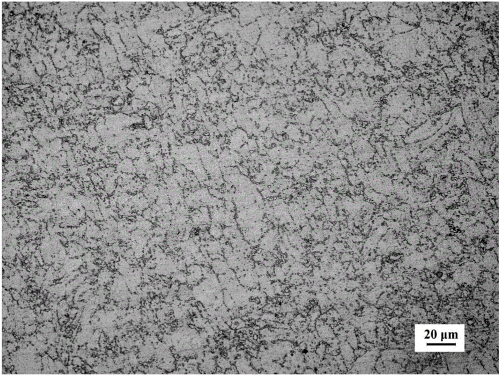 Erosion agent for Super304H austenitic stainless steel durable specimen tissue display, preparation method and application method