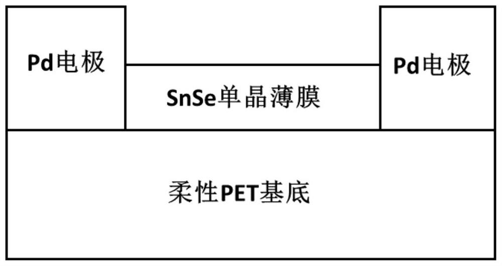 Flexible single crystal film photoelectric detector and preparation method thereof