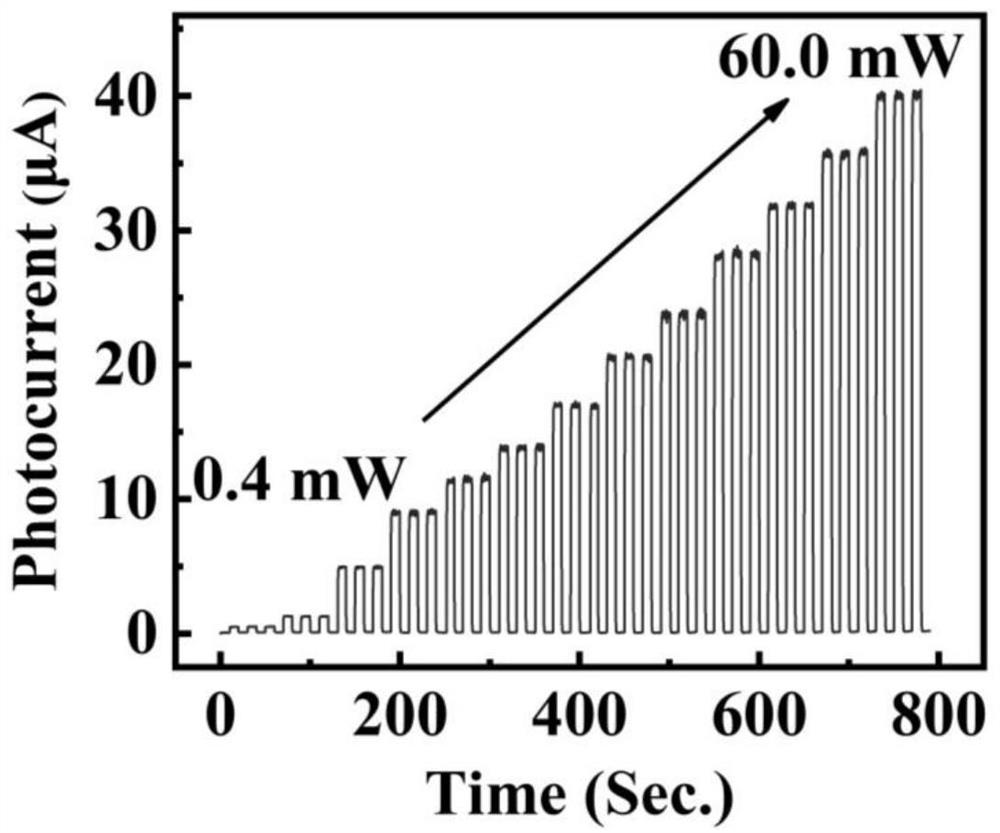 Flexible single crystal film photoelectric detector and preparation method thereof