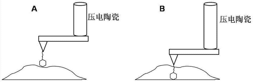 Single particle or single molecule tracking device and method based on atomic force microscope