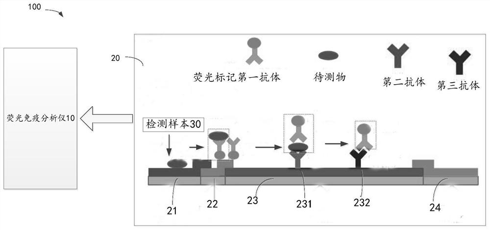 Method for detecting concentration of substance to be detected, fluorescence immunoassay analyzer and storage medium