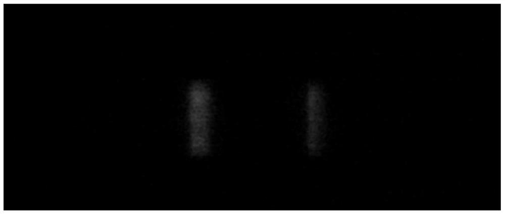 Method for detecting concentration of substance to be detected, fluorescence immunoassay analyzer and storage medium