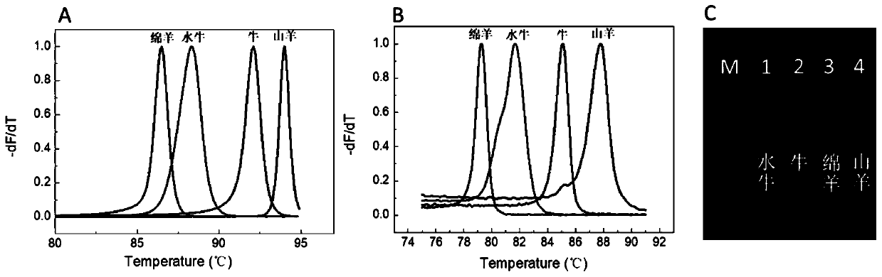 Multiplex fluorescence PCR method and kit for identifying animal-derived components