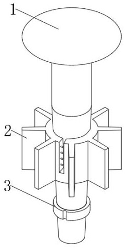 A fastening device for emergency repair of ships