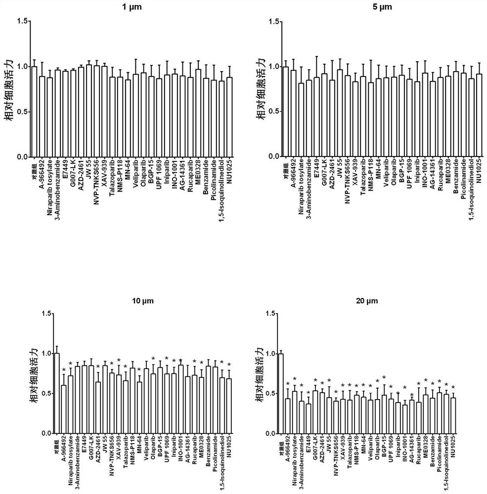 Application of PARP inhibitor Rucaparib in preparation of fish rhabdovirus resisting products