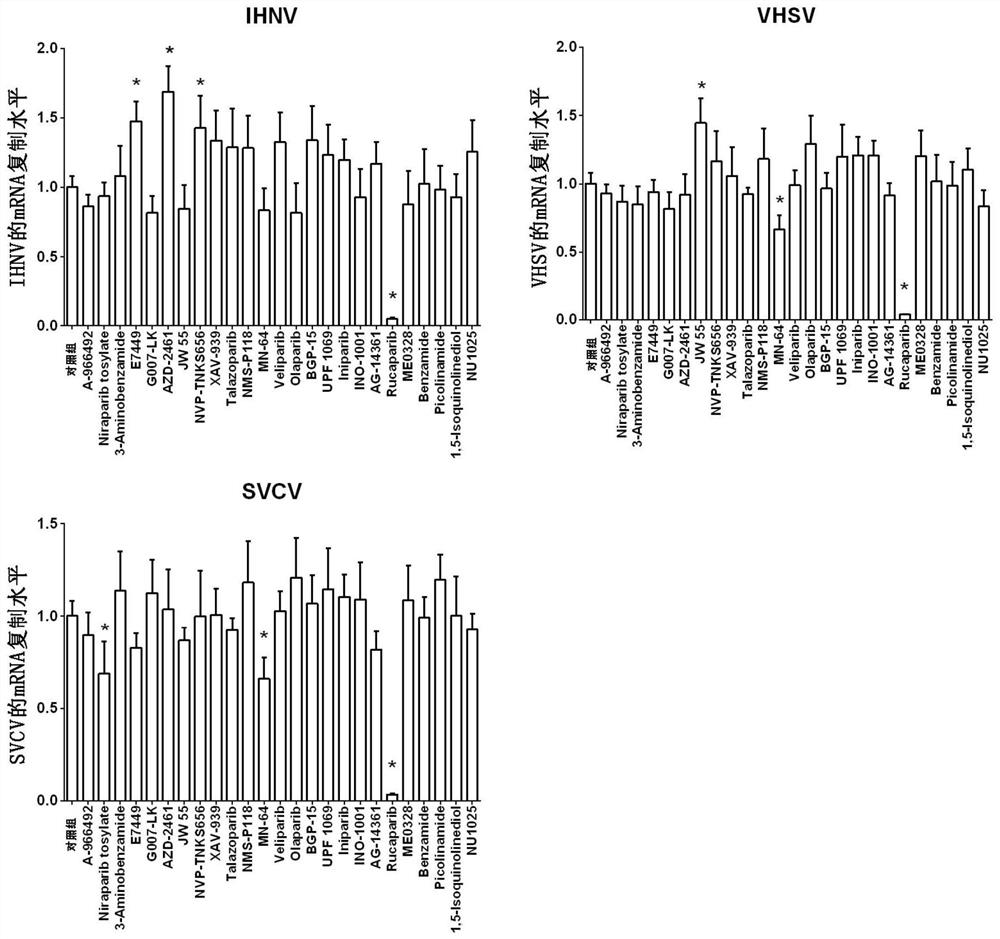 Application of PARP inhibitor Rucaparib in preparation of fish rhabdovirus resisting products