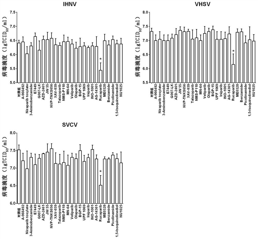 Application of PARP inhibitor Rucaparib in preparation of fish rhabdovirus resisting products