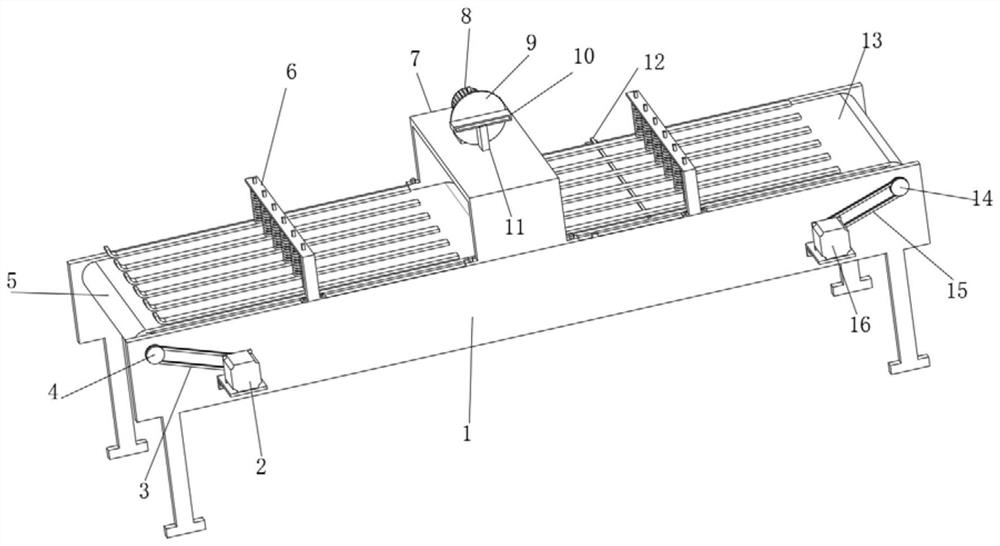 A quantitative and precise conveyor belt processing equipment