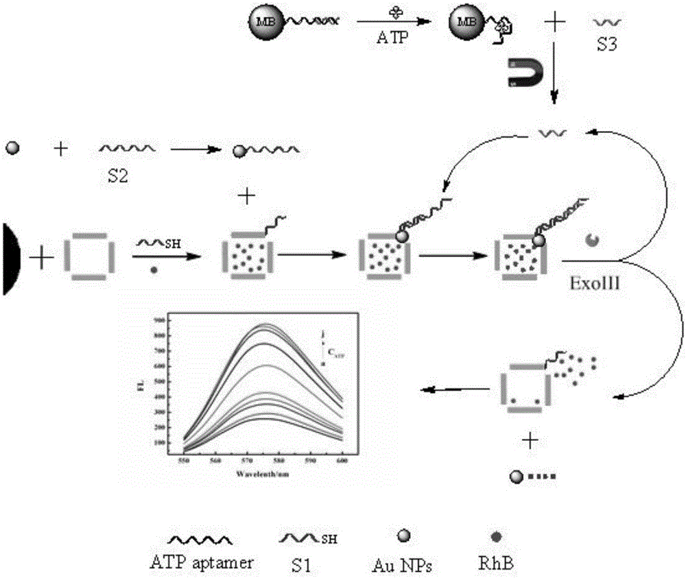 Nano fluorescence biosensor as well as preparation method and application thereof