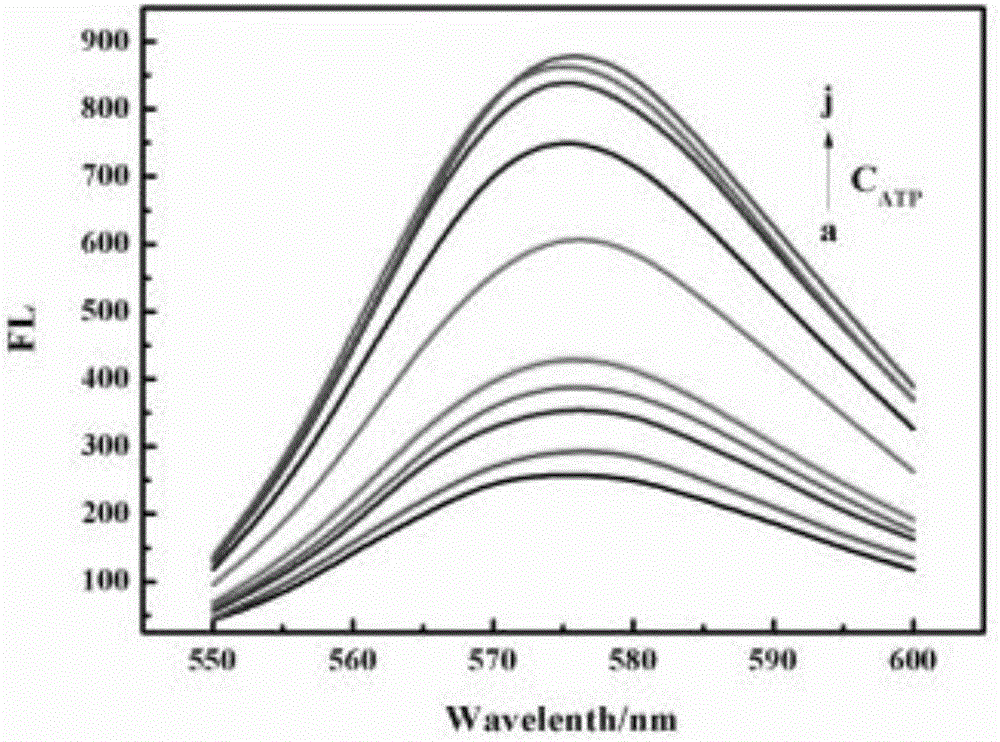 Nano fluorescence biosensor as well as preparation method and application thereof