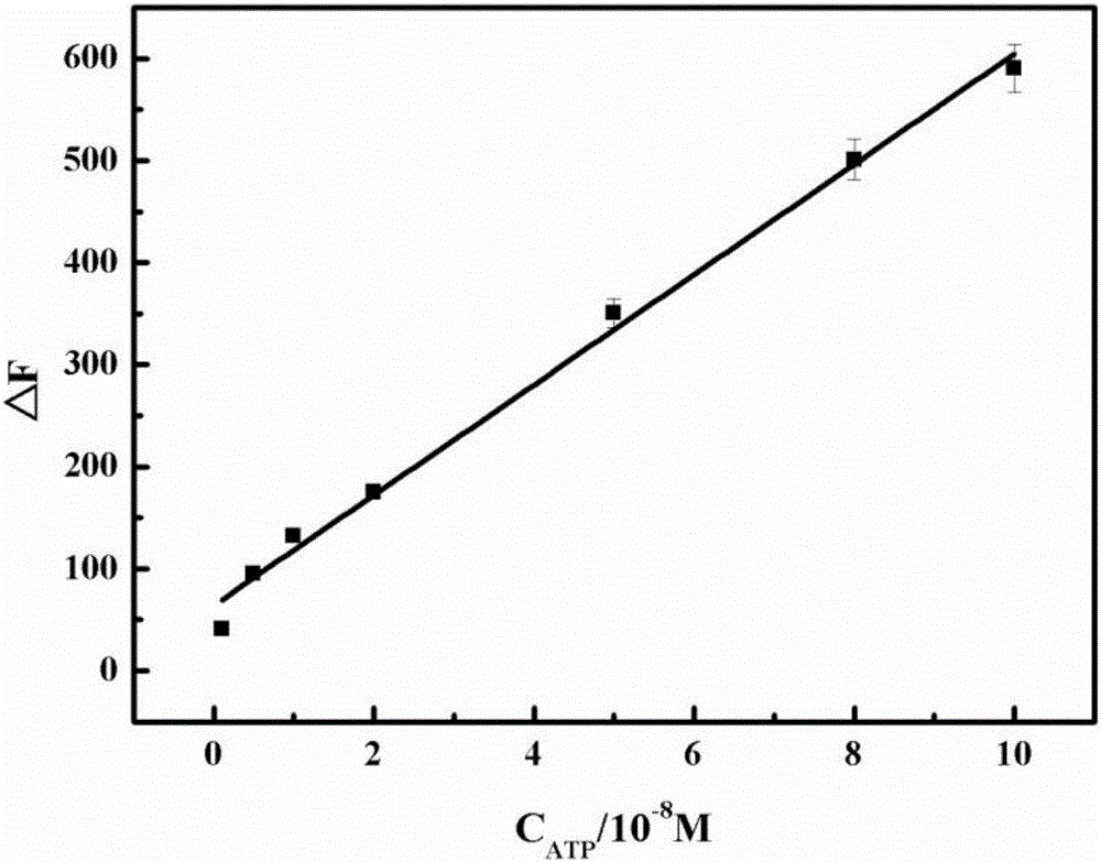 Nano fluorescence biosensor as well as preparation method and application thereof