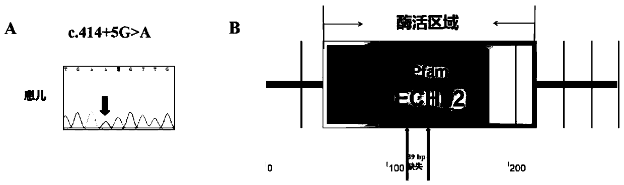 Reagent kit for diagnosing mitochondrial encephalomyopathy and application