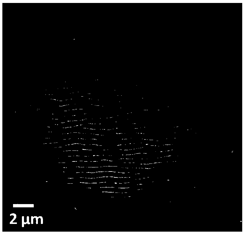 Method for inducing periodic surface structure of transparent dielectric material with single-pulse nanosecond laser