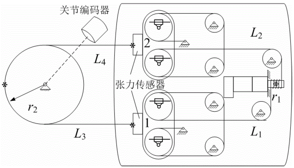 Control method achieving tension feedback and joint position feedback and used for flexibility driving unit for robot joint