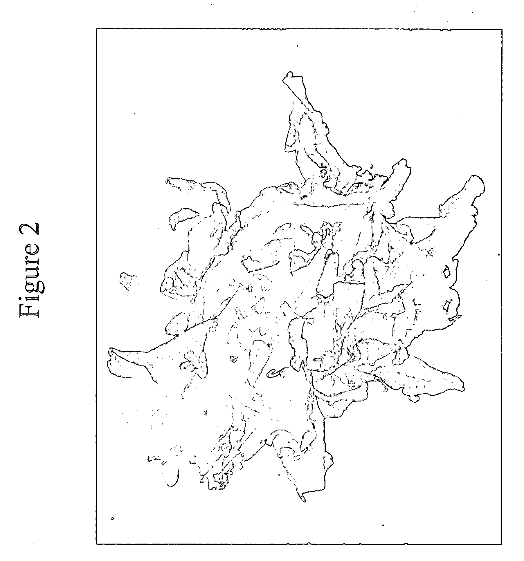 Hemostatic compositions and devices