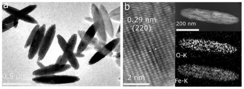 Preparation method of Fe3O4 nano-rod material capable of being used for magnetic hyperthermia agents