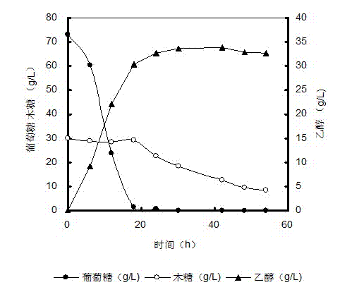 Method for carrying out alkaline pretreatment on plant fiber raw materials for preparing ethanol through enzymolysis and fermentation