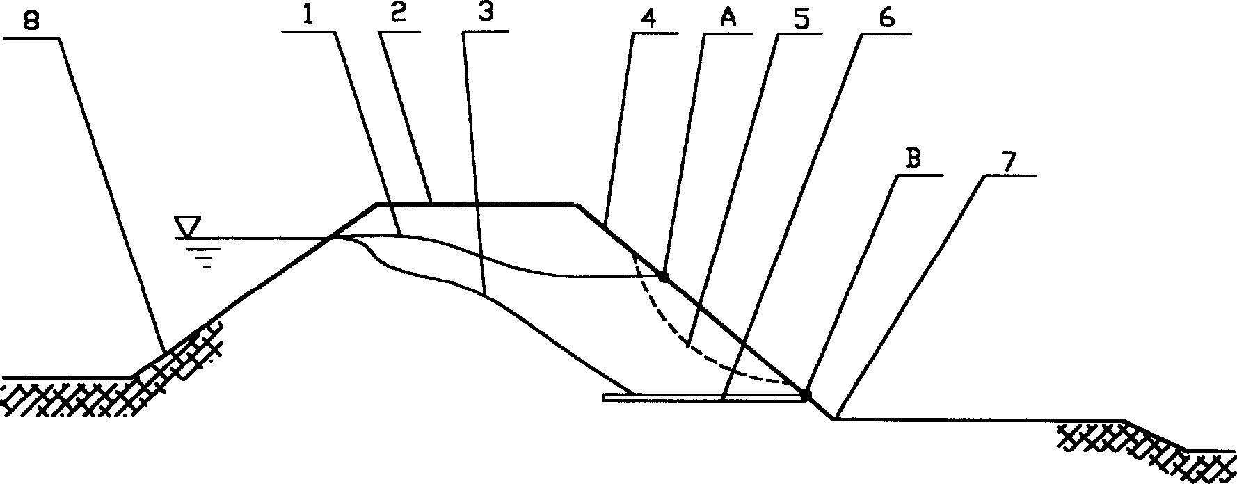 Method for lowering seepage line of dam by adopting osyris wightiana guide filtration