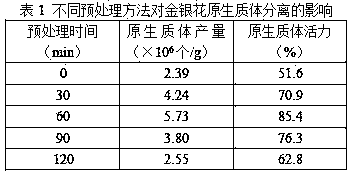 Honeysuckle protoplast separation and culture method and special culture medium