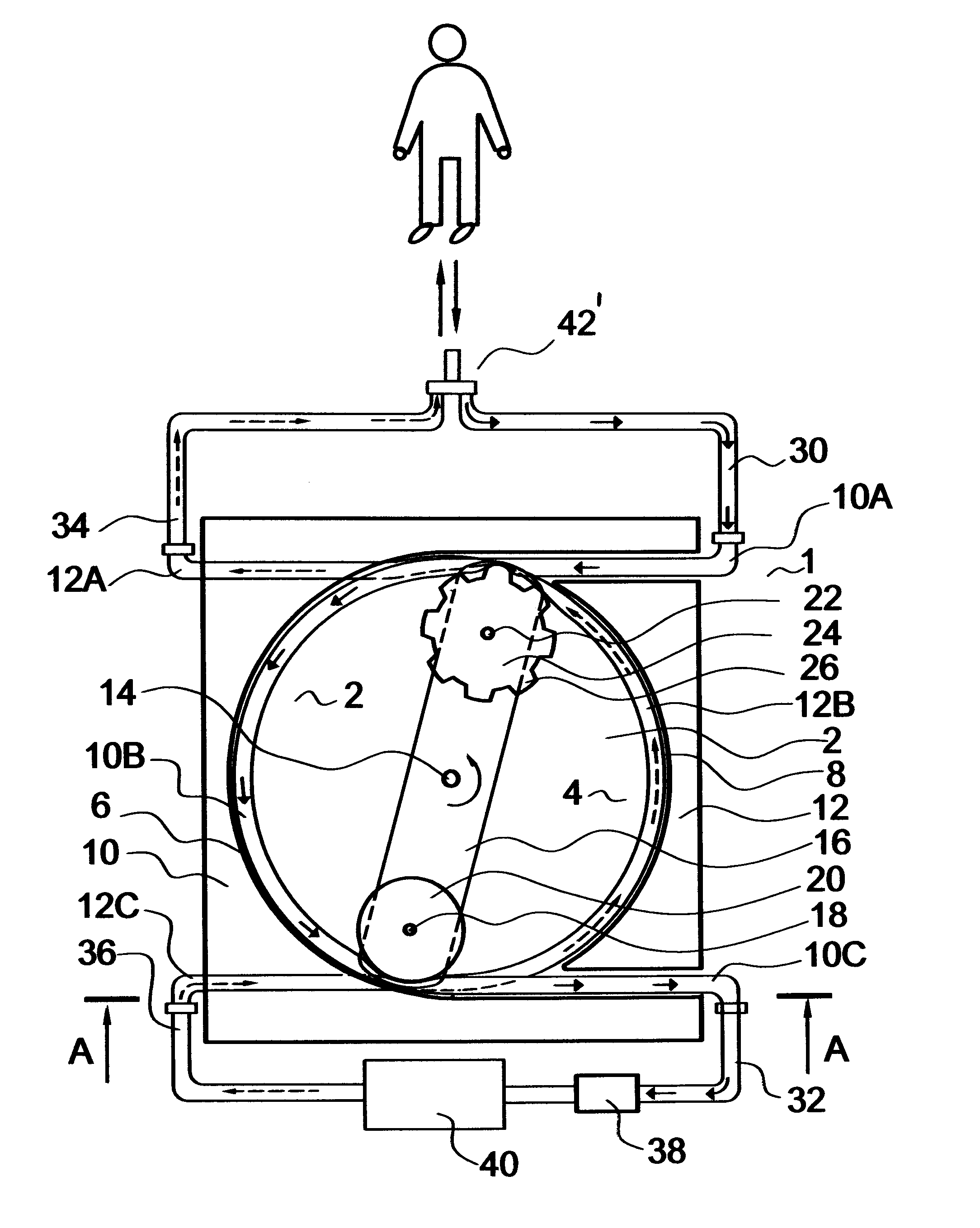 Single-needle dialysis sytem utilizing a peristaltic pump with pumping and occluding rollers