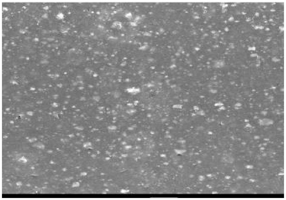 A functional masterbatch for strengthening and toughening polylactic acid fiber, preparation method thereof, and strengthening and toughening polylactic acid material