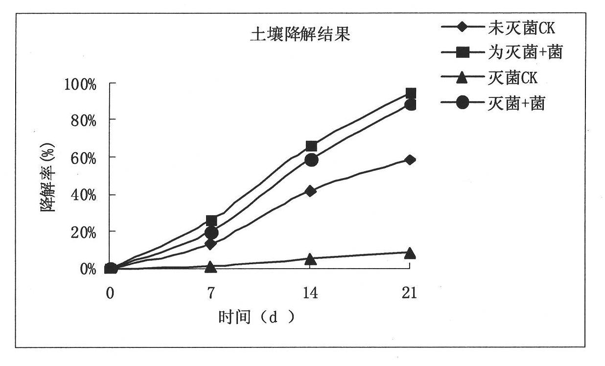 Fluoroglycofen degrading bacteria and bacterial agent prepared from same