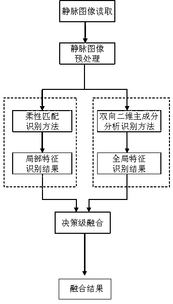 Finger vein recognition method based on fusion of local features and global features