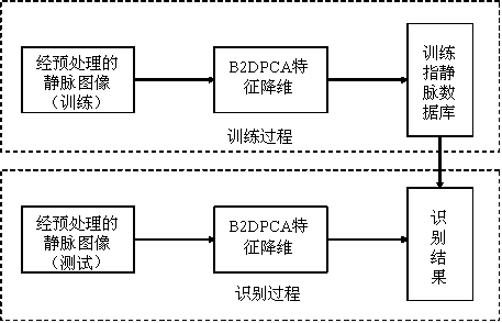 Finger vein recognition method based on fusion of local features and global features