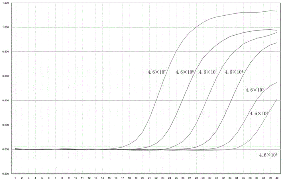 Method, primer, probe and kit for detecting cronobacter sakazakii