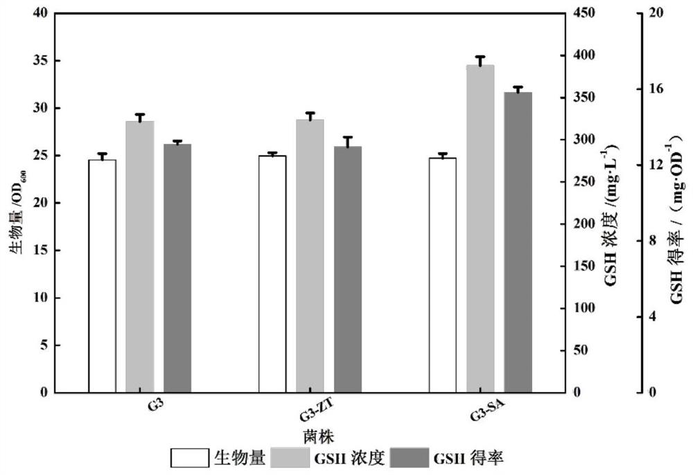 High-yield glutathione pichia pastoris strain G3-SA and application thereof