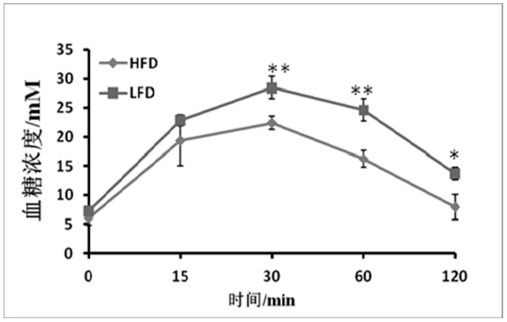 Alisma polysaccharide with effect of improving insulin resistance and its extraction method and application