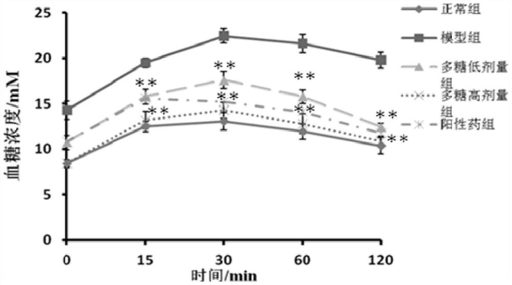 Alisma polysaccharide with effect of improving insulin resistance and its extraction method and application