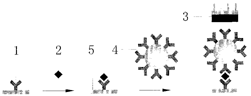 Magnetic immunity detection method