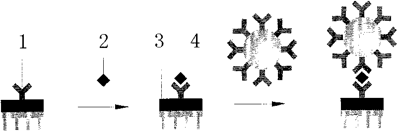 Magnetic immunity detection method