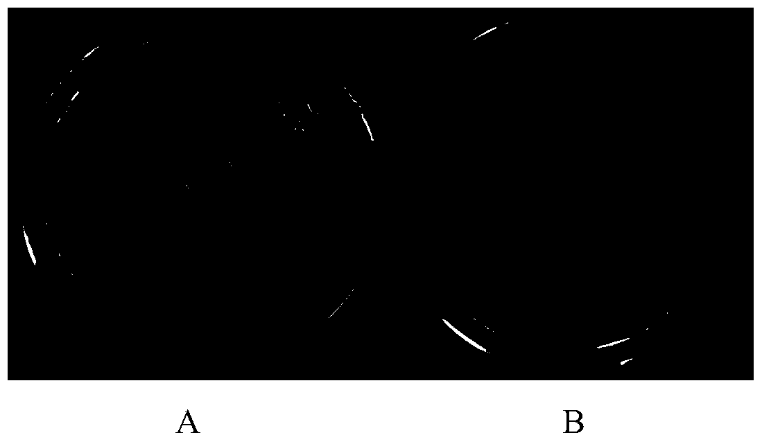 A kind of Pseudomonas bacterial strain and its application