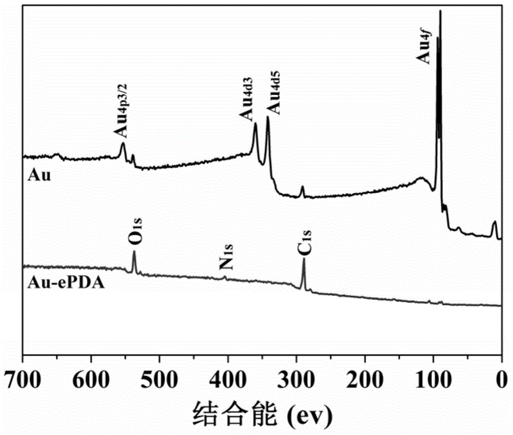 Method for functionally modifying surface of conductive substrate