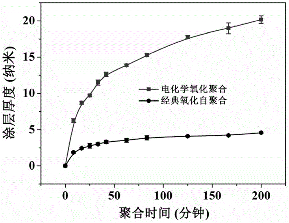 Method for functionally modifying surface of conductive substrate