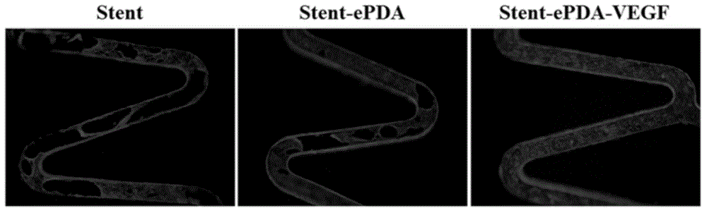 Method for functionally modifying surface of conductive substrate