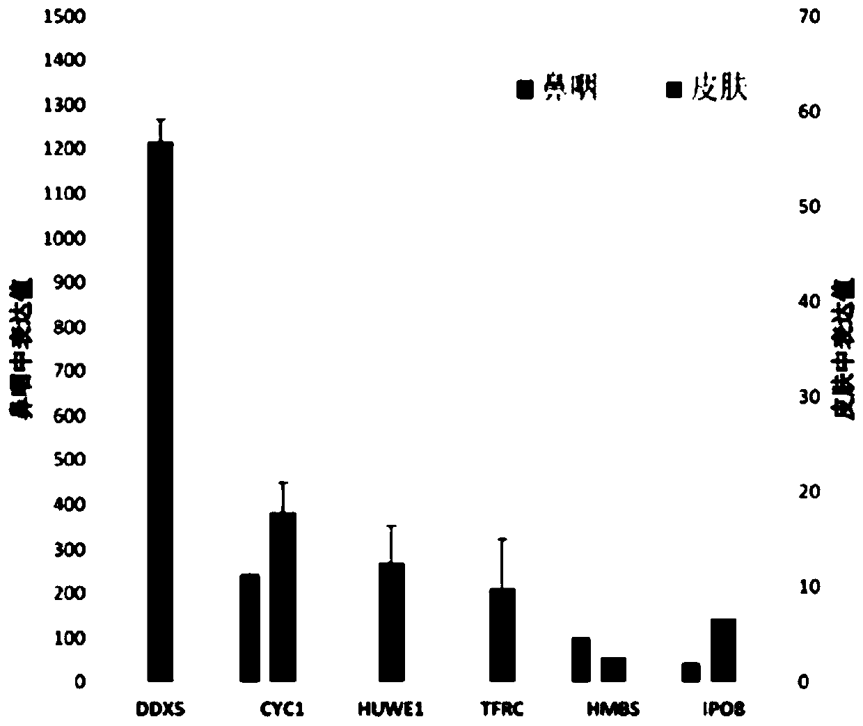 Reference gene for respiratory tract RNA virus PCR detection and detection product thereof