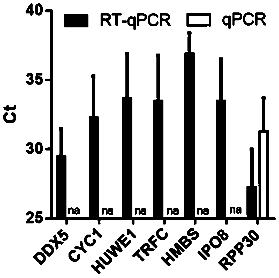 Reference gene for respiratory tract RNA virus PCR detection and detection product thereof