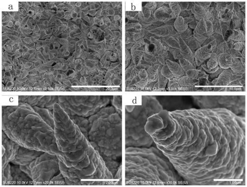 Preparation method of copper-silver micro-nano composite layer material