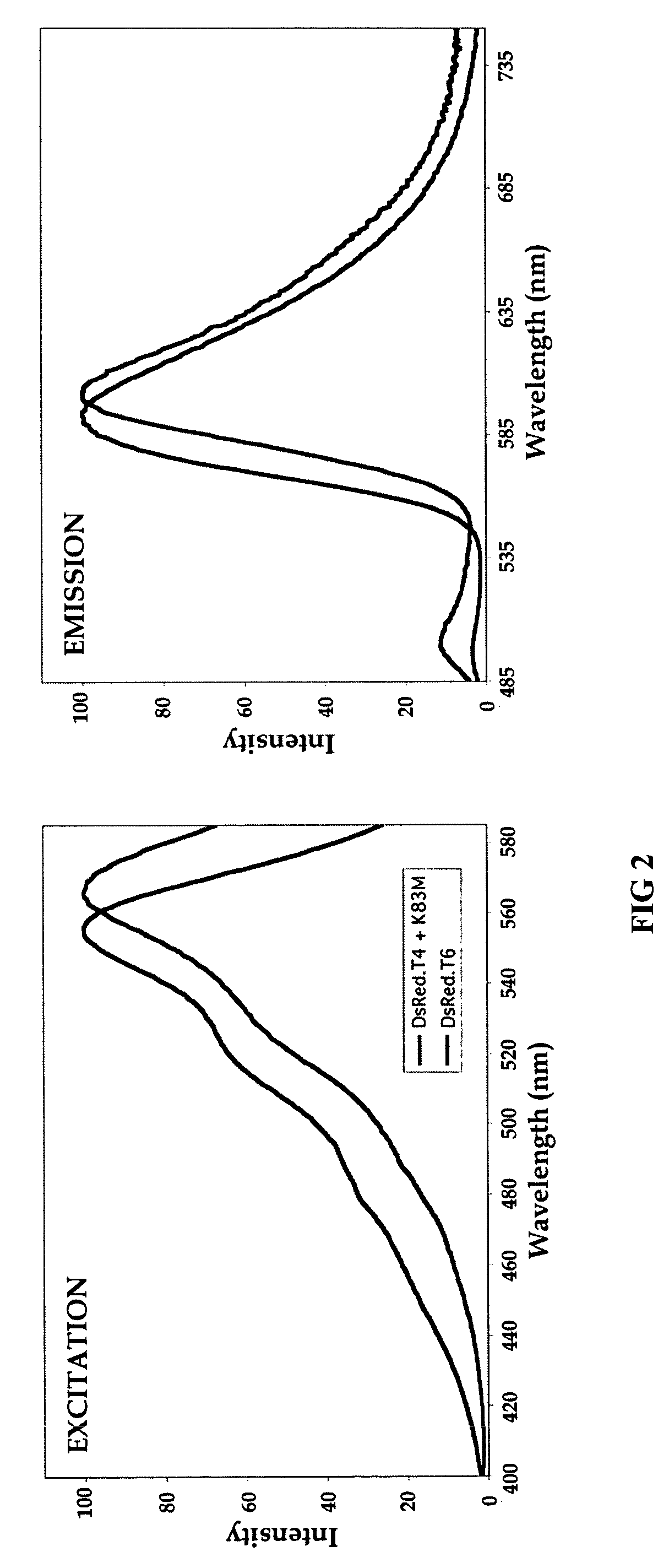 Monomeric red fluorescent proteins