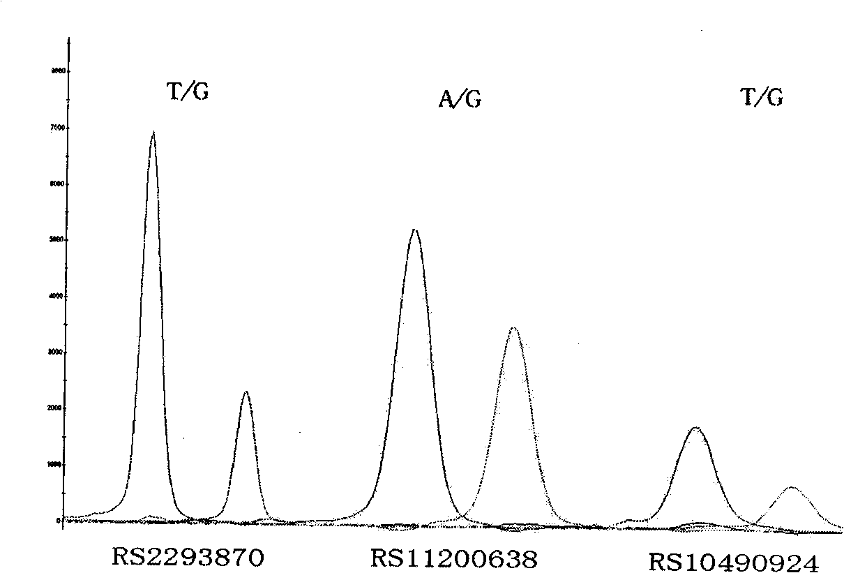 Reagent kit for detecting agedness yellow spot degenerative disease