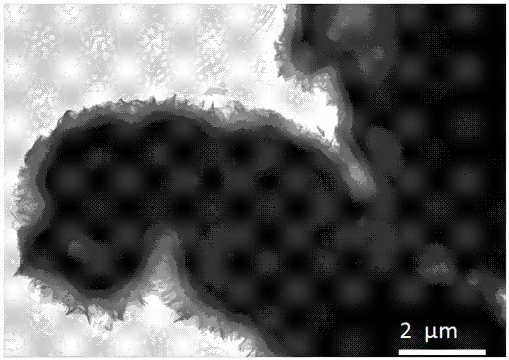 Gamma-aluminium oxide nanometer material and preparation method of nickel/gamma-aluminium oxide catalyst