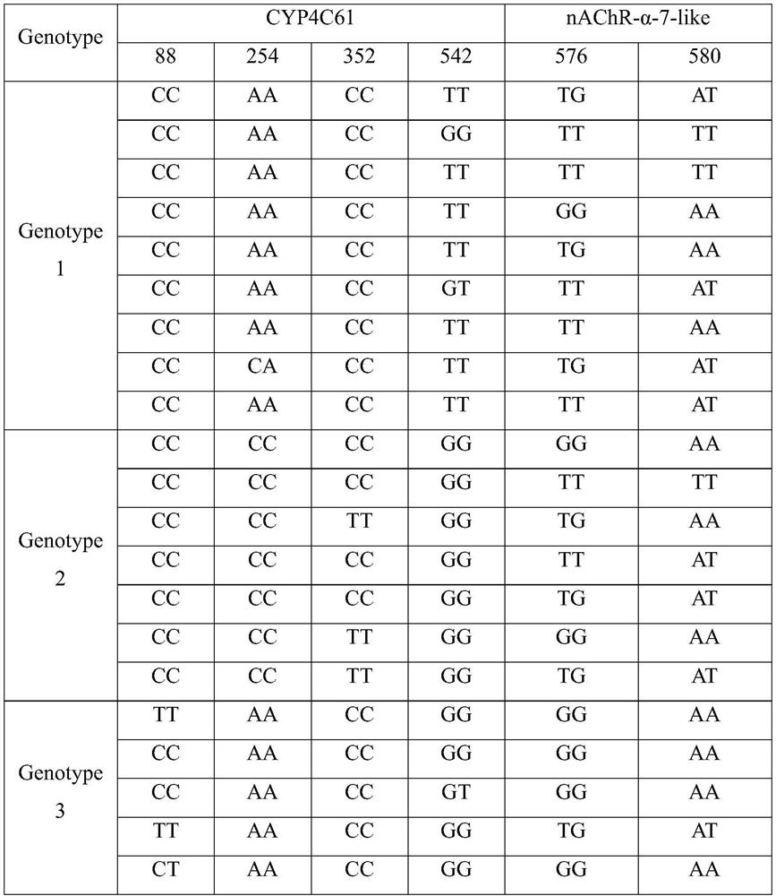 Method for evaluating potential applicability of insect-resistant rice variety based on specific harmful genotype of brown planthopper